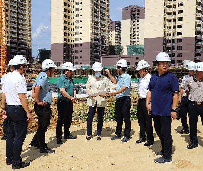 到龙州县城棚户区刷新项目现场检查（修图）.jpg