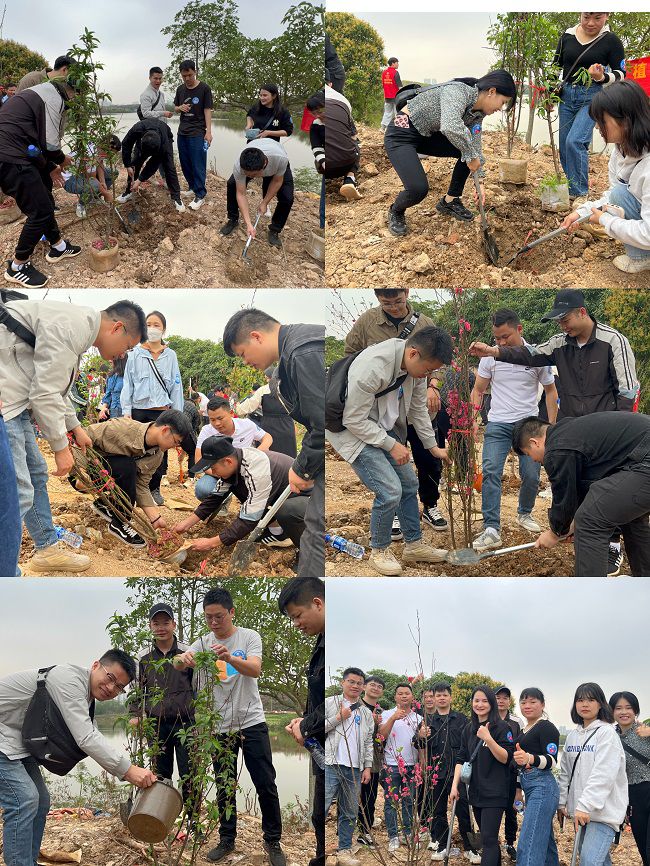 植树现场。。。；；；；；畦磋 摄（修图）.jpg