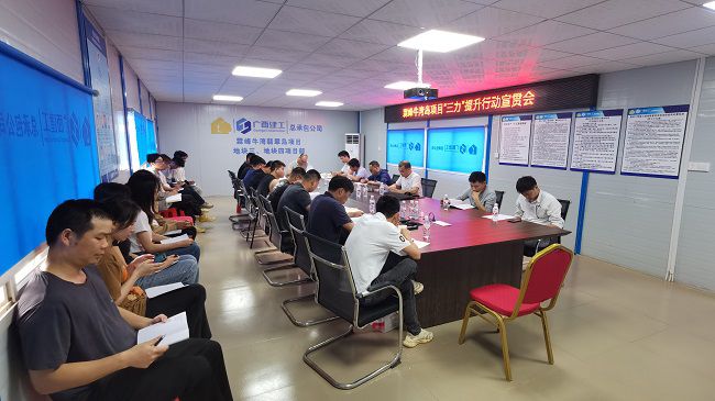 分公司党支部书记、副总司理胡海云深入牛湾岛项目宣贯《“三力”提升行动》。；；菩奘 摄修图）.jpg